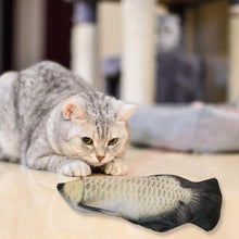 Load image into Gallery viewer, Moving Fish Electric Toy For Cat USB Charger Interactive Cat Chew Bite Toys Catnip Supplies Kitten Fish Flop Cat Wagging Toy