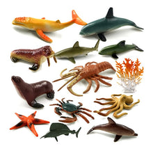 Load image into Gallery viewer, 12pcs Insect Farm Animal model action figure worm Spider Butterfly Fish Dinosaur Dog Cat Lizard Horse hot toy set for children